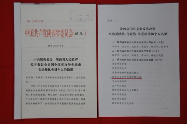 2009年2月，被陜西省委、省政府授予陜西省國有企業(yè)改革攻堅(jiān)先進(jìn)集體